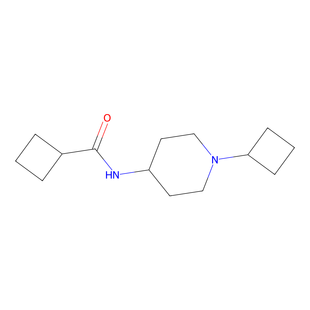 N-(1-cyclobutylpiperidin-4-yl)cyclobutanecarboxamide molecular structure, CAS 2877657-03-7