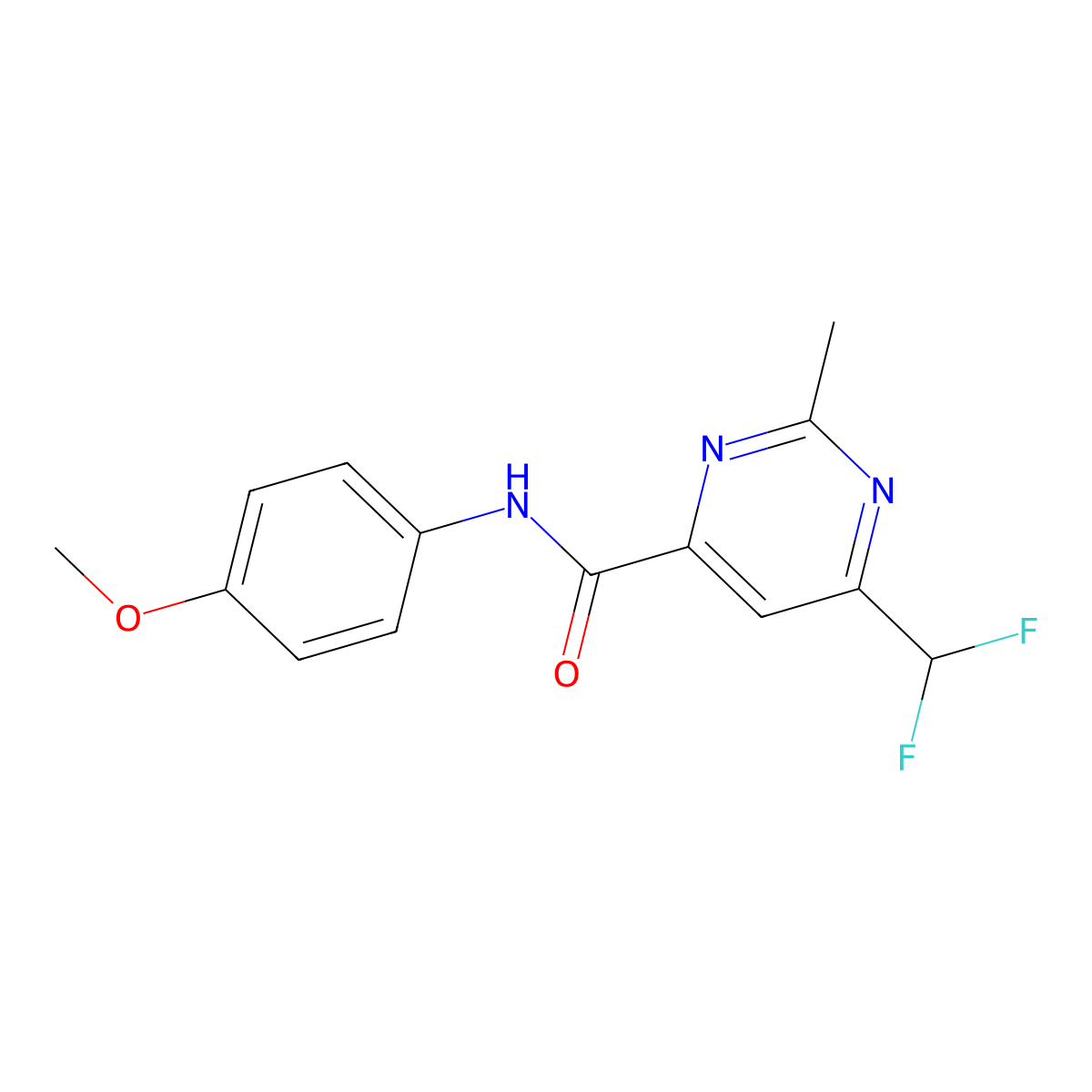 6-(difluoromethyl)-N-(4-methoxyphenyl)-2-methylpyrimidine-4-carboxamide molecular structure, CAS 2877657-25-3