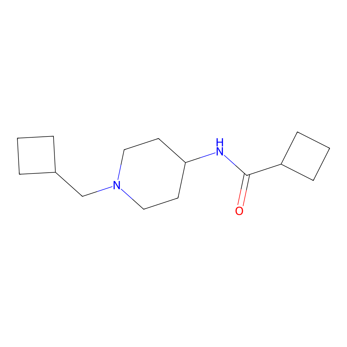 N-[1-(cyclobutylmethyl)piperidin-4-yl]cyclobutanecarboxamide molecular structure, CAS 2877668-64-7