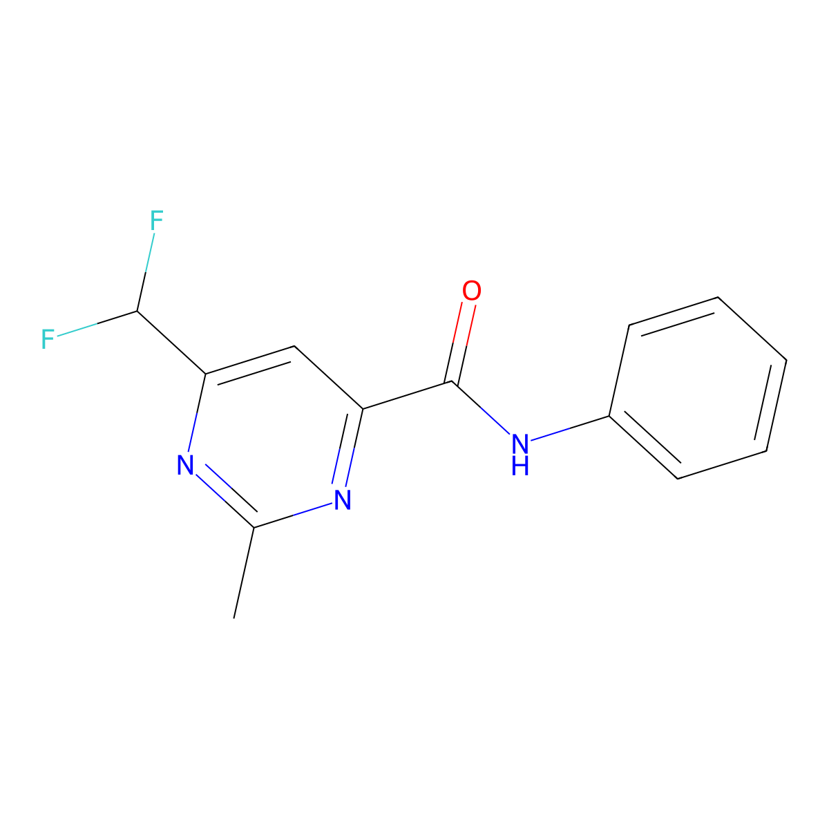 6-(difluoromethyl)-2-methyl-N-phenylpyrimidine-4-carboxamide molecular structure, CAS 2877669-46-8
