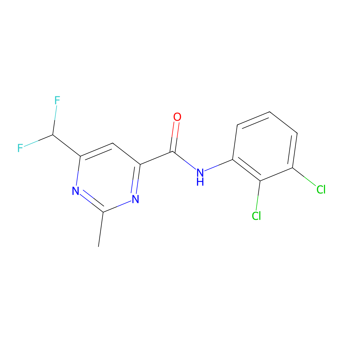 N-(2,3-dichlorophenyl)-6-(difluoromethyl)-2-methylpyrimidine-4-carboxamide molecular structure, CAS 2877672-42-7