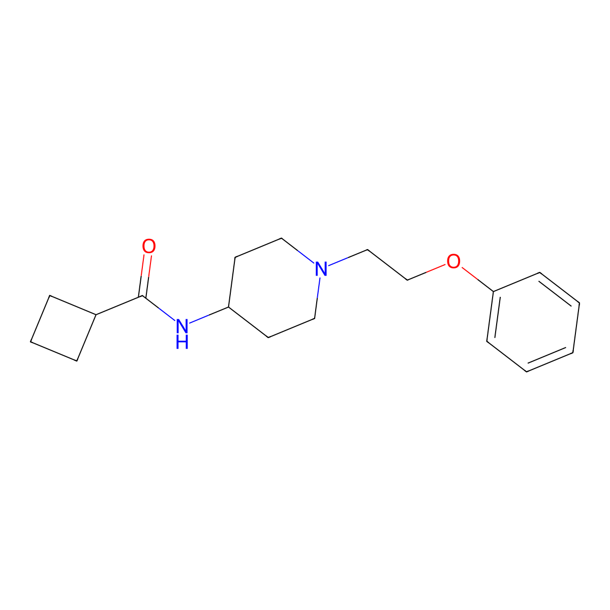 N-[1-(2-phenoxyethyl)piperidin-4-yl]cyclobutanecarboxamide molecular structure, CAS 2877681-74-6