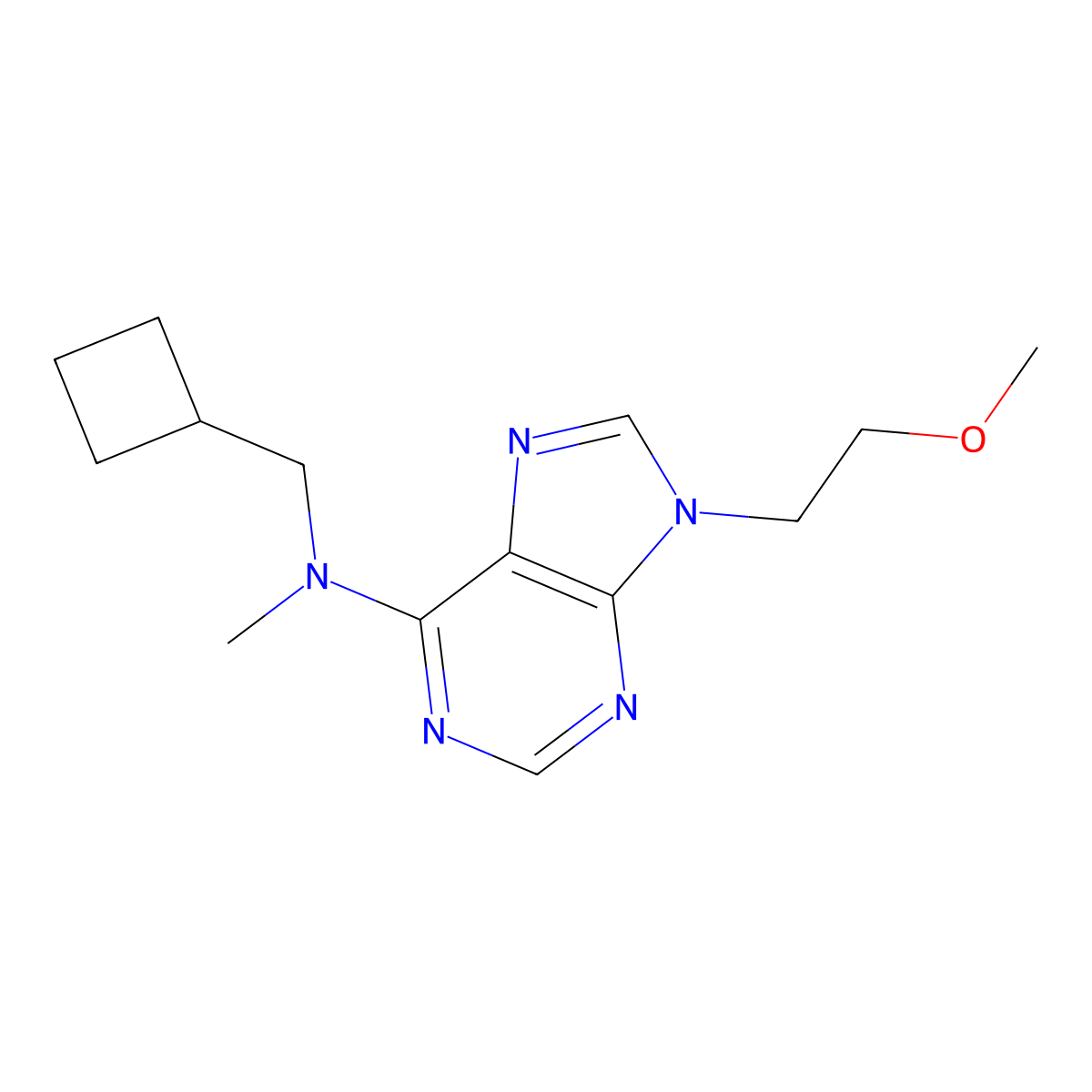 N-(cyclobutylmethyl)-9-(2-methoxyethyl)-N-methyl-9H-purin-6-amine molecular structure, CAS 2877691-56-8