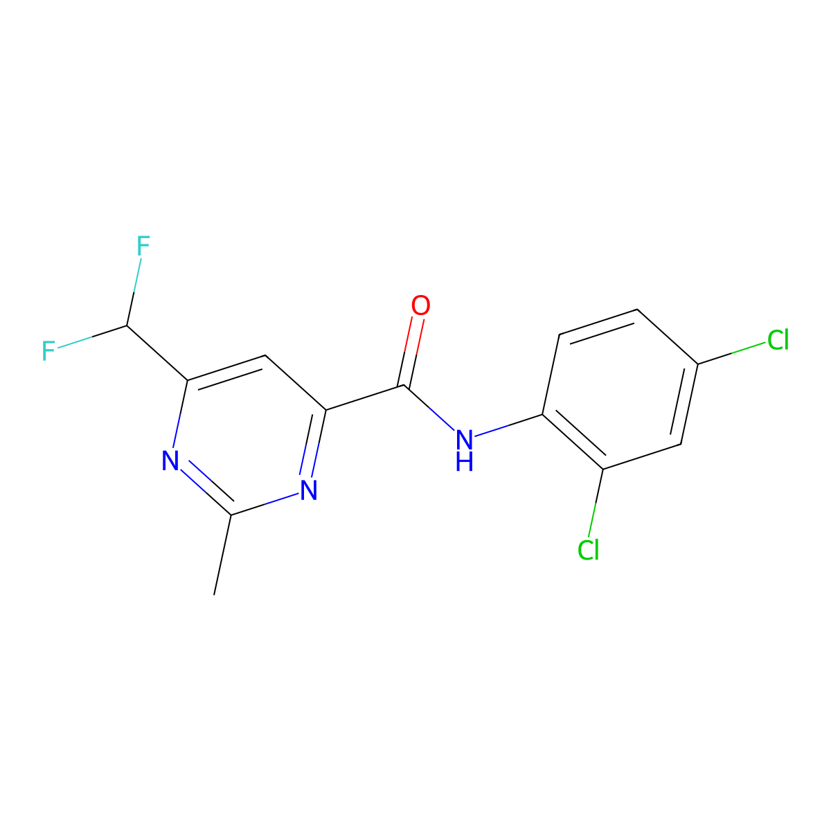 N-(2,4-dichlorophenyl)-6-(difluoromethyl)-2-methylpyrimidine-4-carboxamide molecular structure, CAS 2877702-64-0