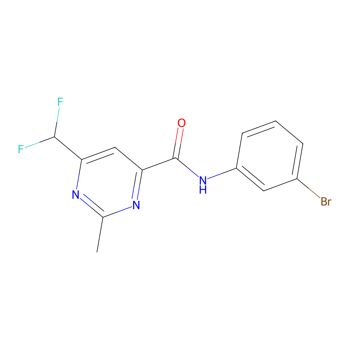 N-(3-bromophenyl)-6-(difluoromethyl)-2-methylpyrimidine-4-carboxamide molecular structure, CAS 2877704-72-6