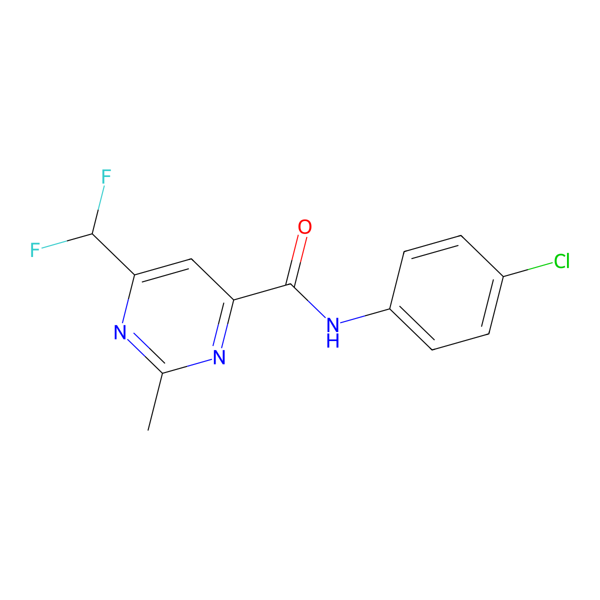 N-(4-chlorophenyl)-6-(difluoromethyl)-2-methylpyrimidine-4-carboxamide molecular structure, CAS 2877710-84-2
