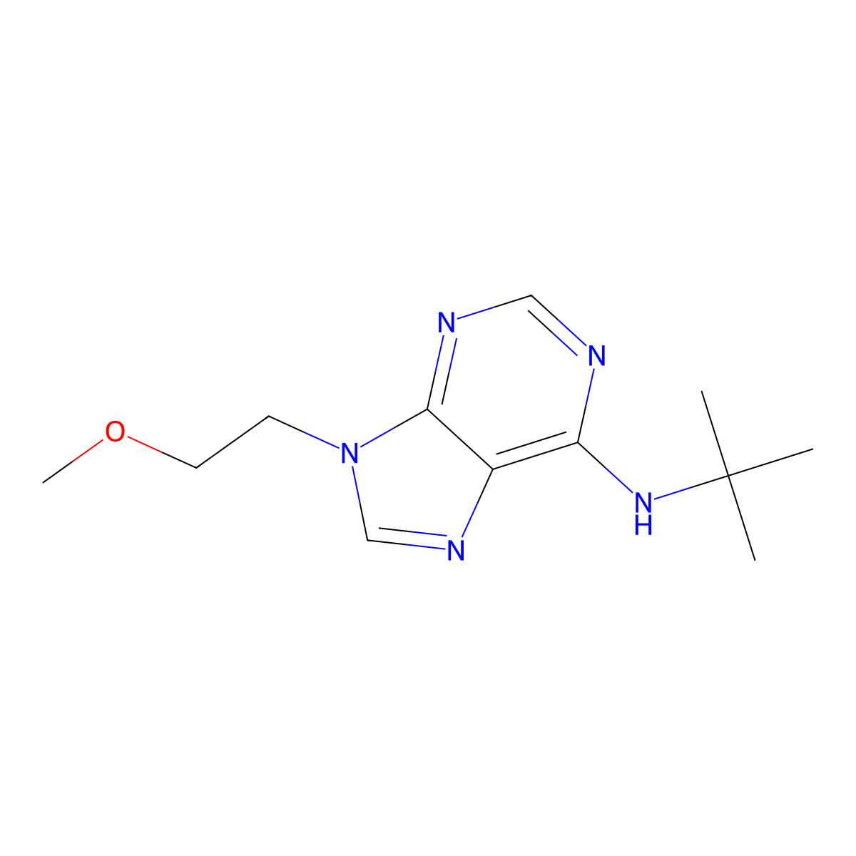 N-tert-butyl-9-(2-methoxyethyl)-9H-purin-6-amine molecular structure, CAS 2877722-10-4