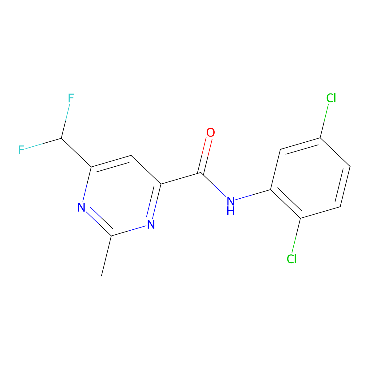 N-(2,5-dichlorophenyl)-6-(difluoromethyl)-2-methylpyrimidine-4-carboxamide molecular structure, CAS 2877765-16-5
