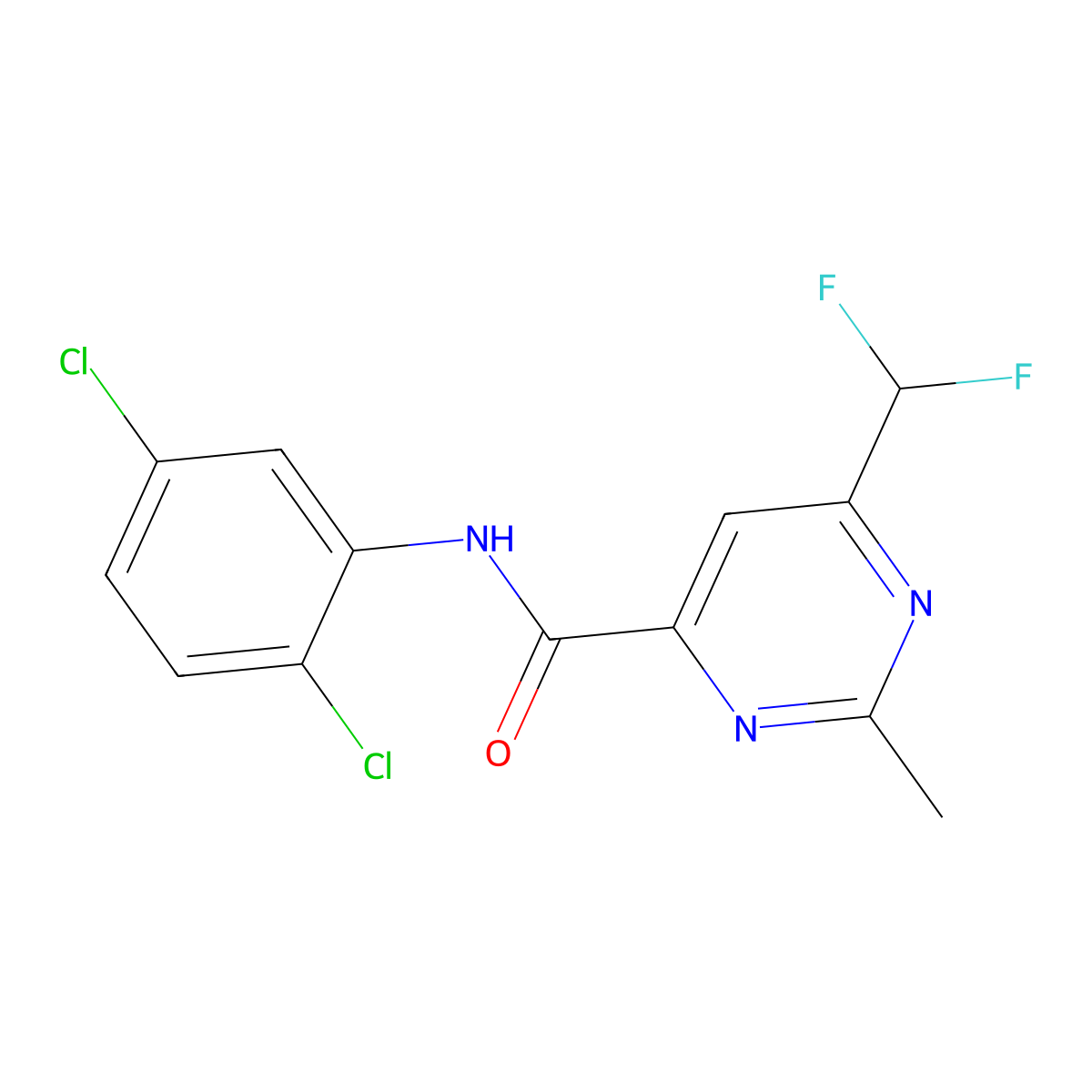 N-(2,5-dichlorophenyl)-6-(difluoromethyl)-2-methylpyrimidine-4-carboxamide molecular structure, CAS 2877765-16-5
