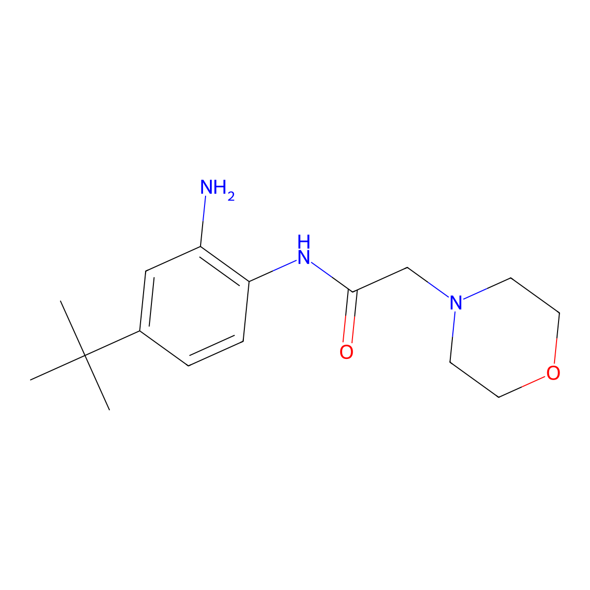 N-(2-amino-4-tert-butylphenyl)-2-(morpholin-4-yl)acetamide molecular structure, CAS 287927-90-6