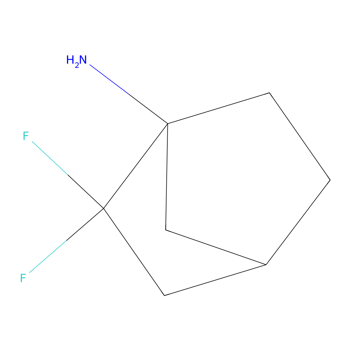 2,2-Difluorobicyclo[2.2.1]heptan-1-amine molecular structure, CAS 2901095-89-2