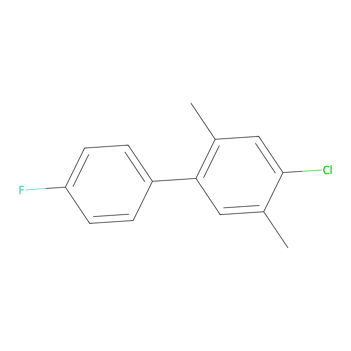 4-Chloro-4'-fluoro-2,5-dimethyl-1,1'-biphenyl molecular structure, CAS 2901102-30-3