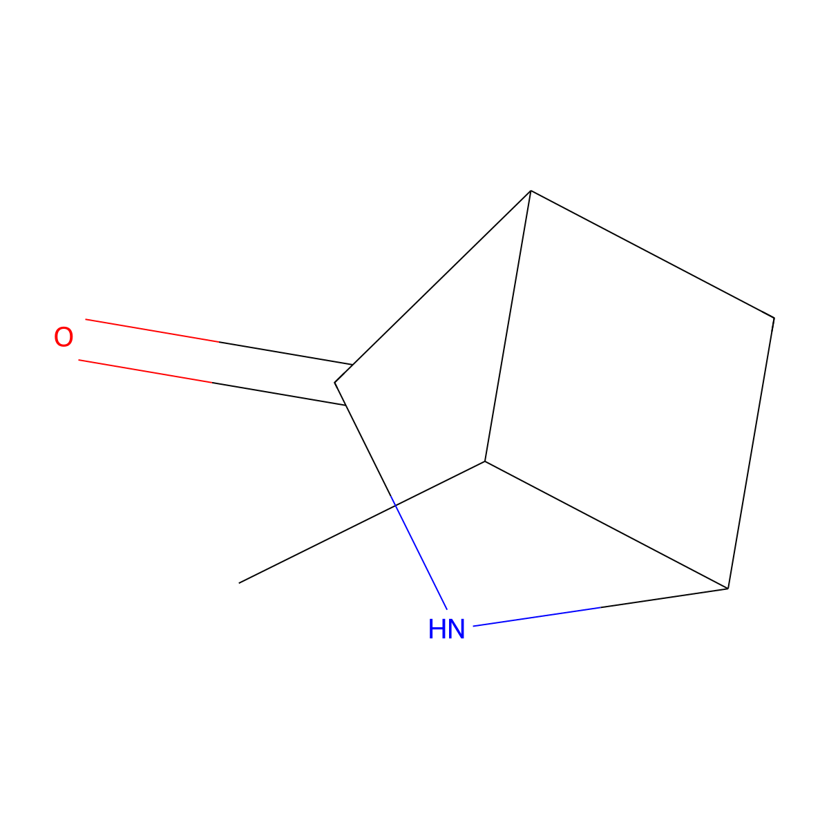 5-Methyl-2-azabicyclo[2.1.1]hexan-3-one molecular structure, CAS 2901105-32-4