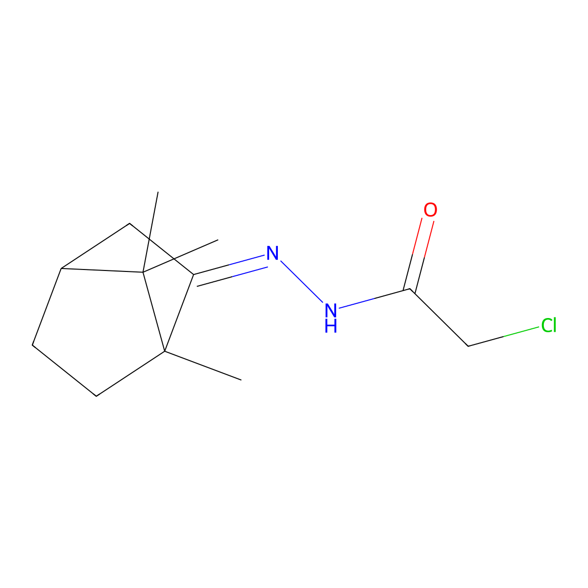 2-Bornanone chloroacetylhydrazone molecular structure, CAS 29118-71-6