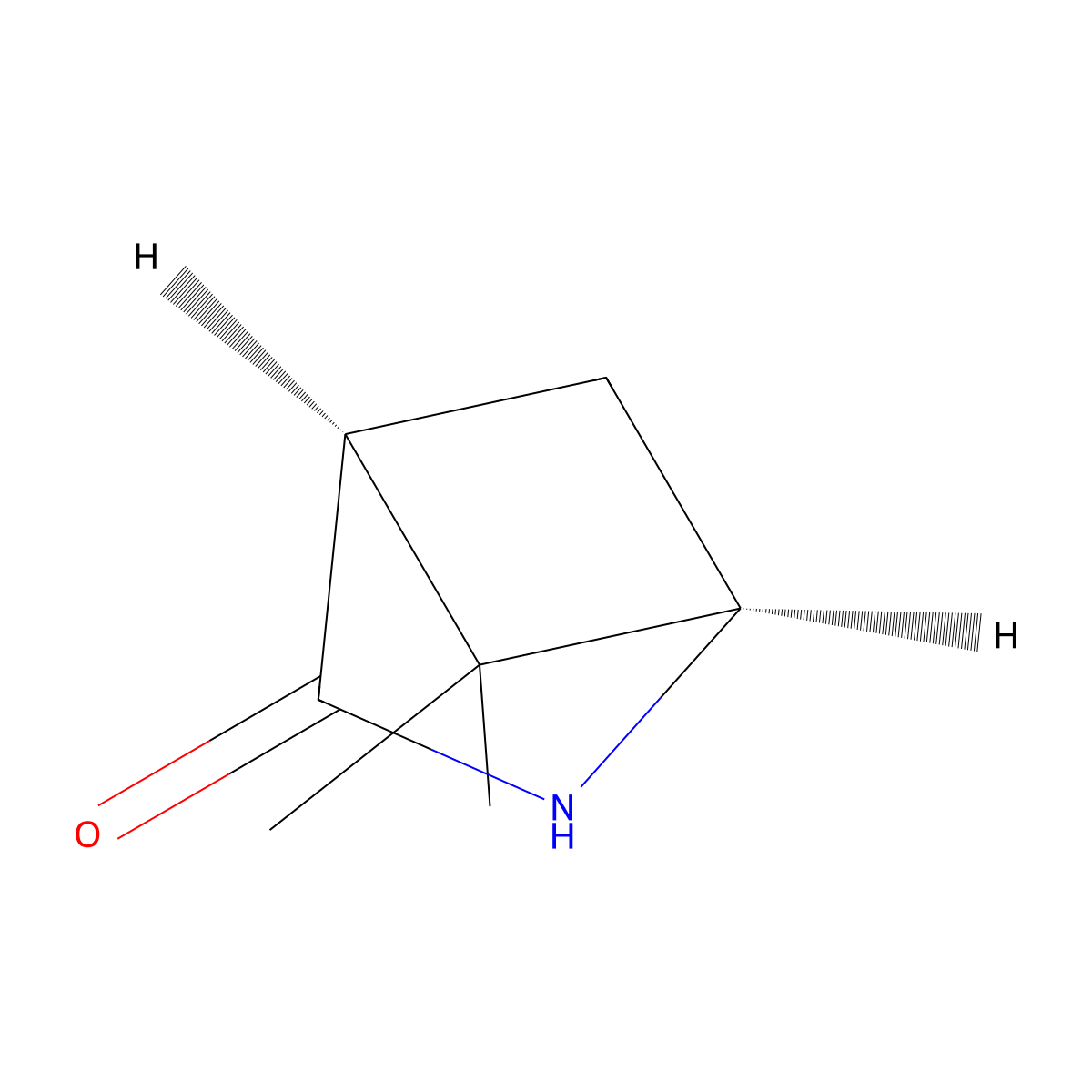(1R,4S)-5,5-dimethyl-2-azabicyclo[2.1.1]hexan-3-one molecular structure, CAS 2913185-85-8
