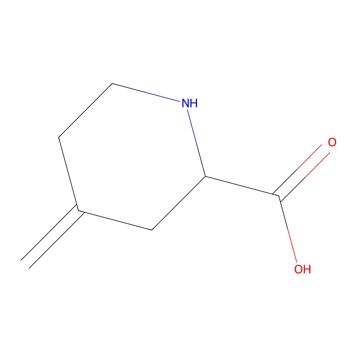 4-Methylidenepiperidine-2-carboxylic acid molecular structure, CAS 2913242-00-7