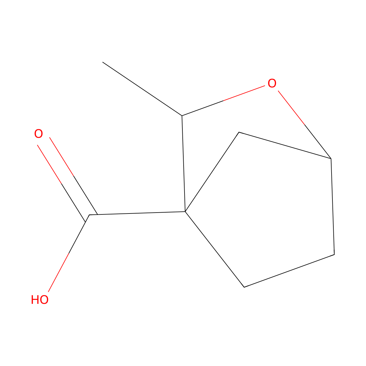 3-Methyl-2-oxabicyclo[2.2.1]heptane-4-carboxylic acid molecular structure, CAS 2913280-99-4