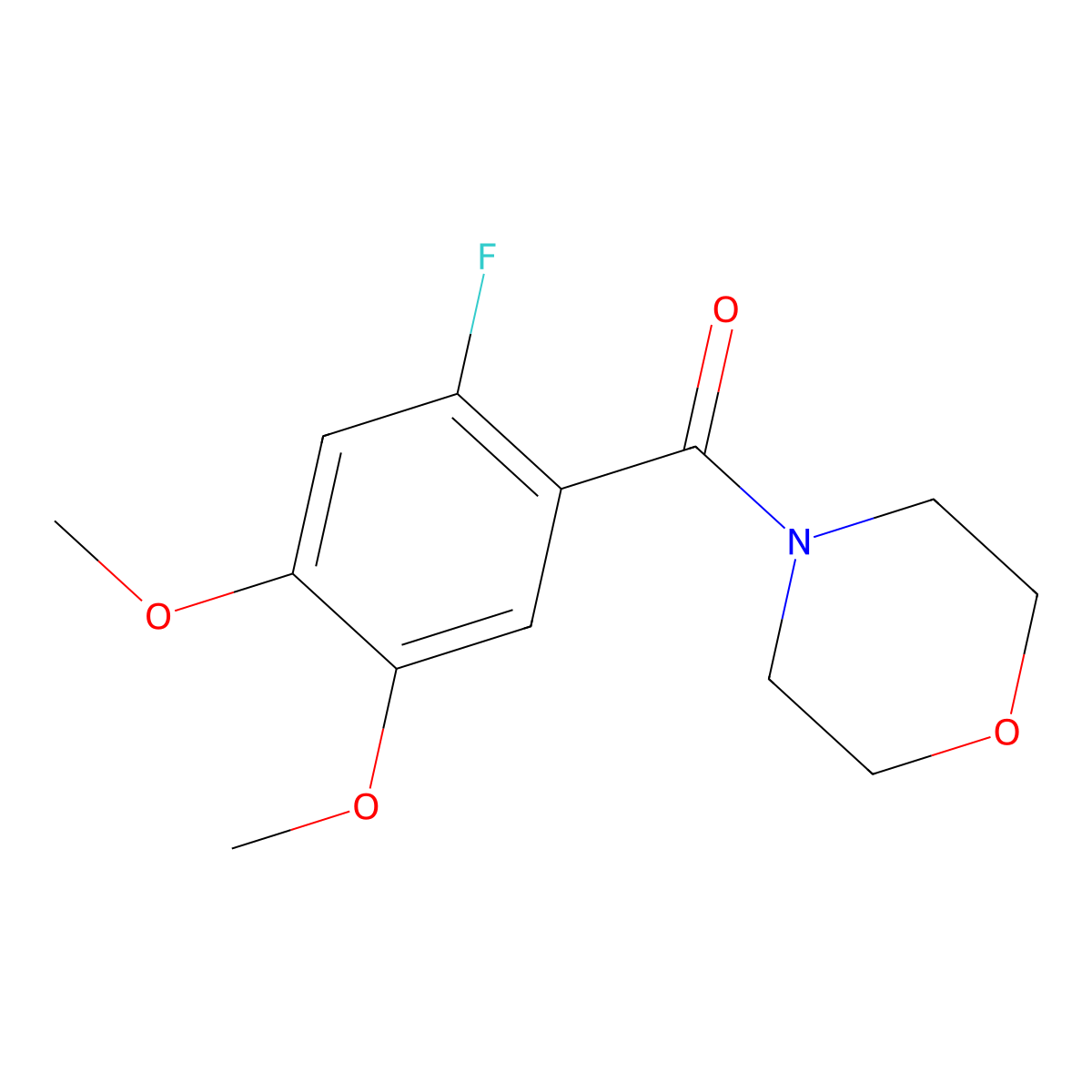(2-Fluoro-4,5-dimethoxyphenyl)(morpholino)methanone molecular structure, CAS 2918906-13-3