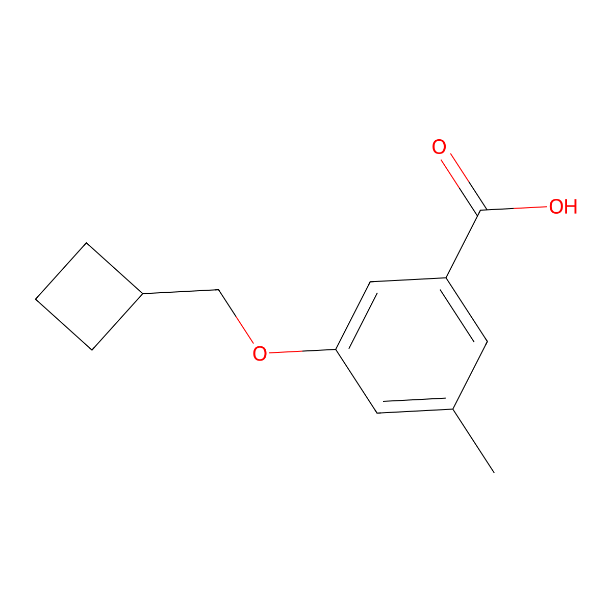 3-(Cyclobutylmethoxy)-5-methylbenzoic acid molecular structure, CAS 2918928-38-6