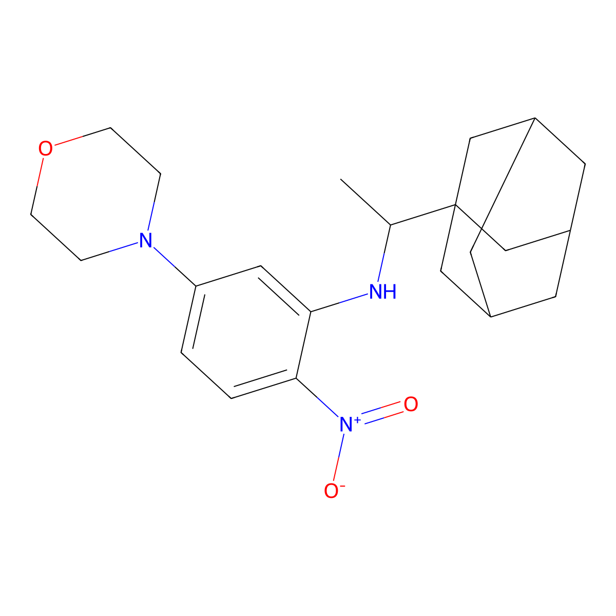 N-[1-(1-adamantyl)ethyl]-5-morpholin-4-yl-2-nitroaniline molecular structure, CAS 294638-32-7