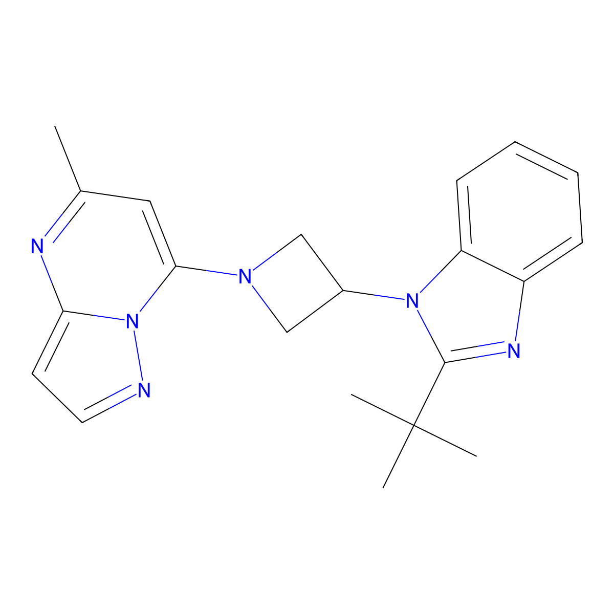 2-tert-butyl-1-(1-{5-methylpyrazolo[1,5-a]pyrimidin-7-yl}azetidin-3-yl)-1H-1,3-benzodiazole molecular structure, CAS 2948477-95-8