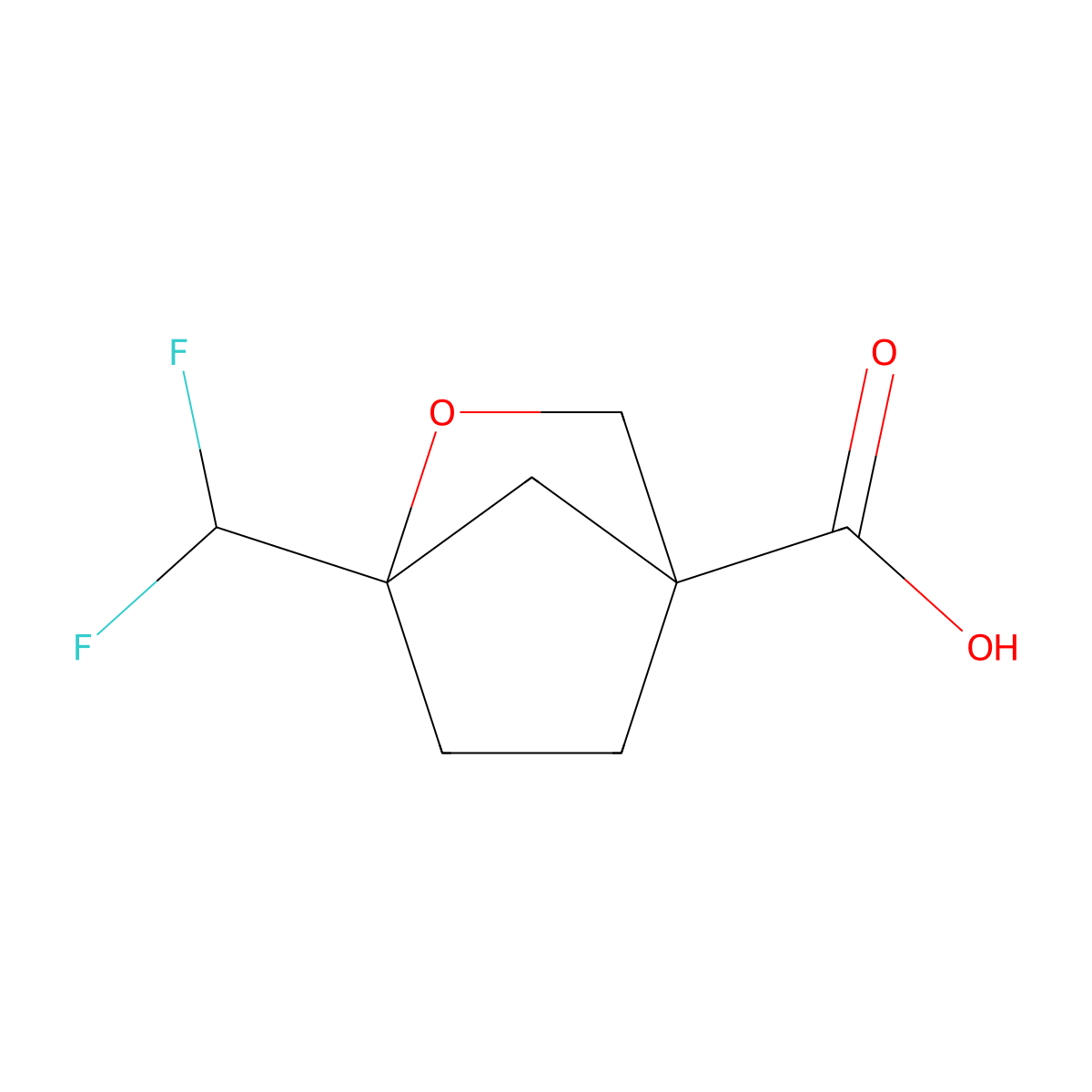 1-(Difluoromethyl)-2-oxabicyclo[2.2.1]heptane-4-carboxylic acid molecular structure, CAS 2955551-80-9