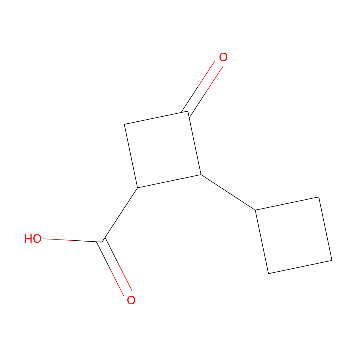 4-Oxo-[1,1'-bi(cyclobutane)]-2-carboxylic acid molecular structure, CAS 2995286-86-5