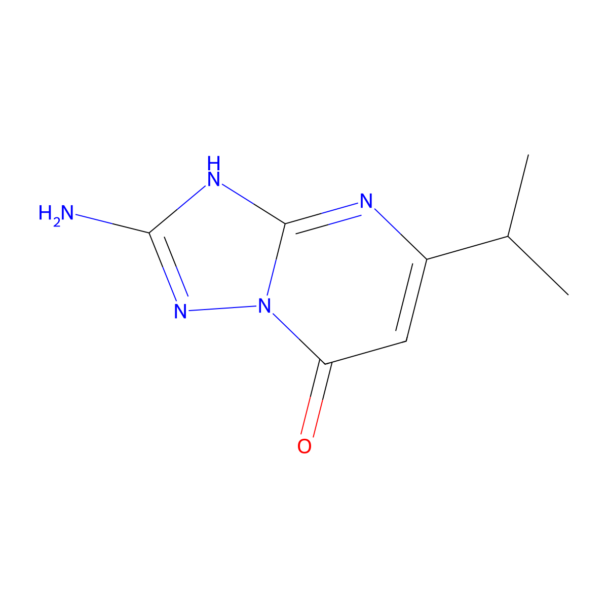2-Amino-5-isopropyl[1,2,4]triazolo[1,5-a]pyrimidin-7(3H)-one molecular structure, CAS 299923-10-7