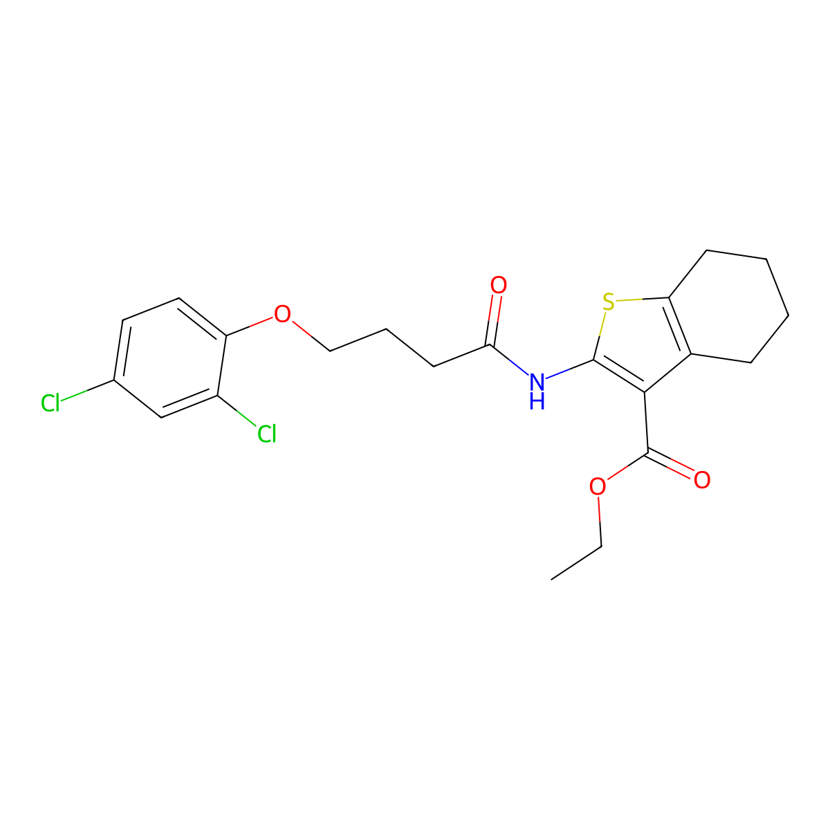 Ethyl 2-{[4-(2,4-dichlorophenoxy)butanoyl]amino}-4,5,6,7-tetrahydro-1-benzothiophene-3-carboxylate molecular structure, CAS 299950-98-4