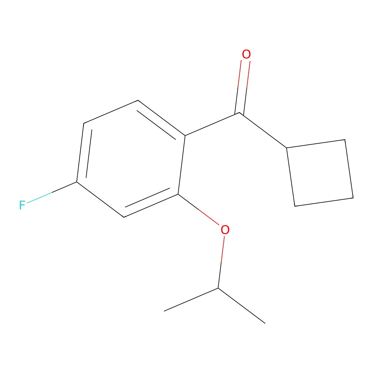 Cyclobutyl(4-fluoro-2-isopropoxyphenyl)methanone molecular structure, CAS 3002553-75-2