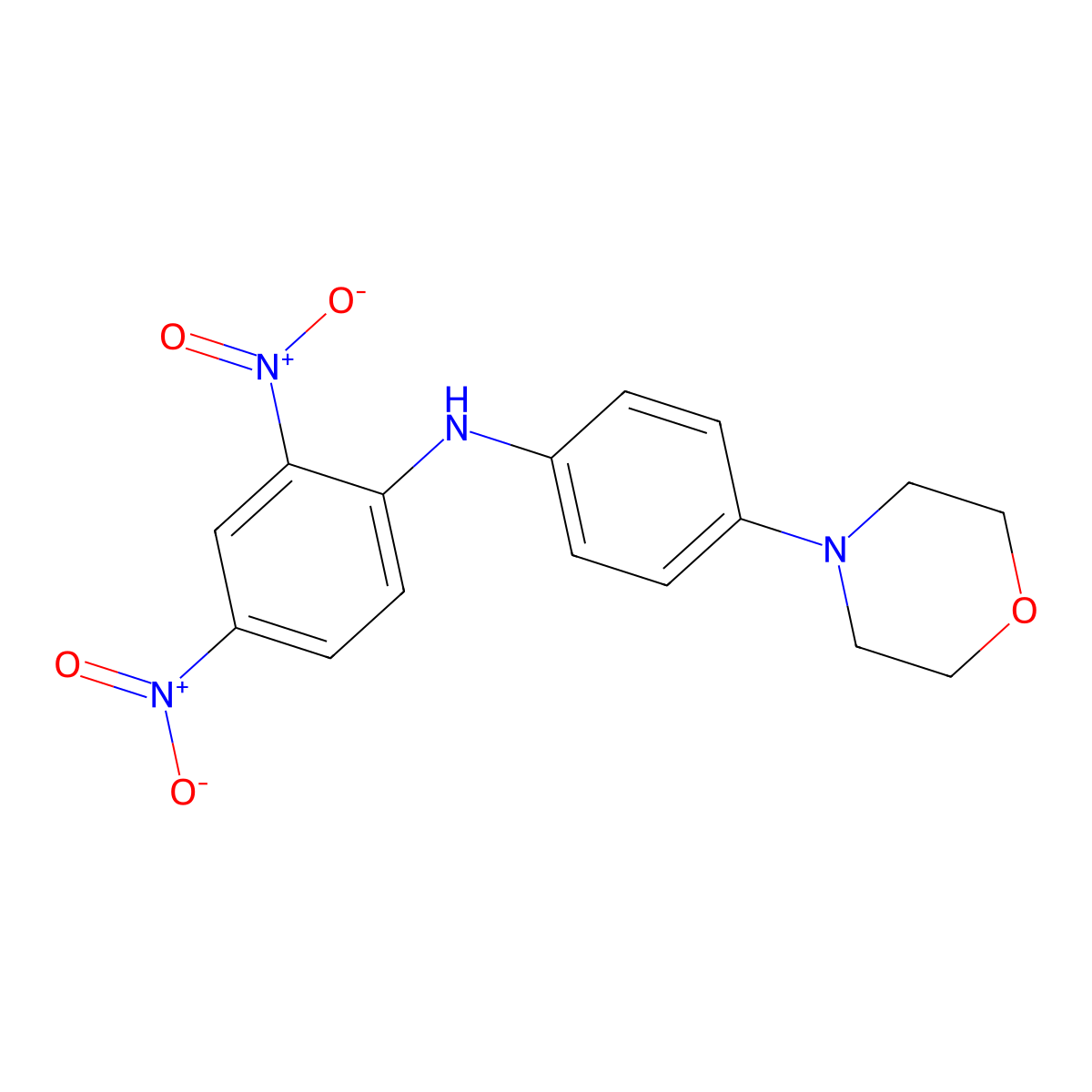 N-(4-morpholinophenyl)-2,4-dinitroaniline molecular structure, CAS 300375-20-6