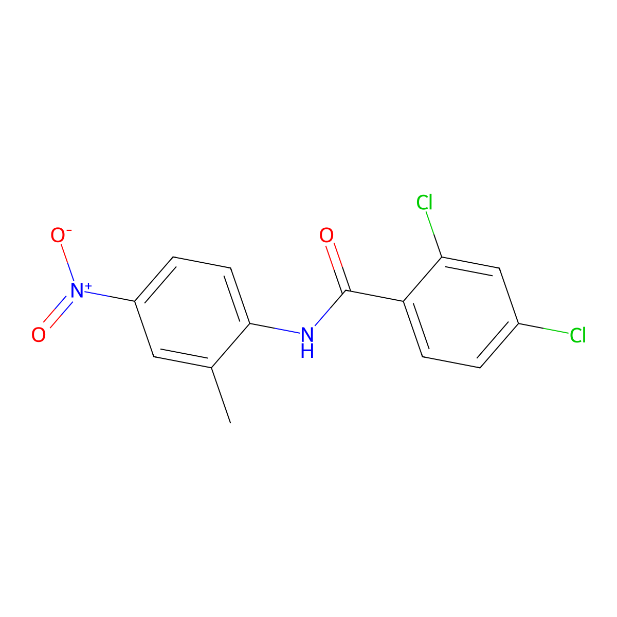 2,4-dichloro-N-(2-methyl-4-nitrophenyl)benzamide molecular structure, CAS 300404-34-6