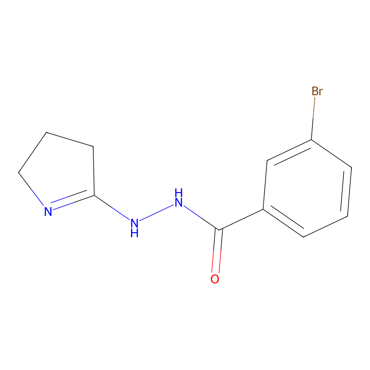 3-bromo-N'-(3,4-dihydro-2H-pyrrol-5-yl)benzohydrazide molecular structure, CAS 300851-71-2