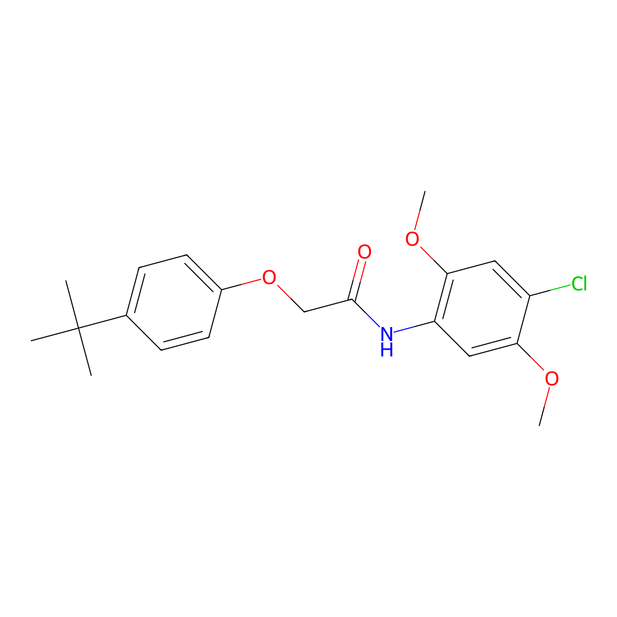 2-(4-tert-butylphenoxy)-N-(4-chloro-2,5-dimethoxyphenyl)acetamide molecular structure, CAS 301689-96-3