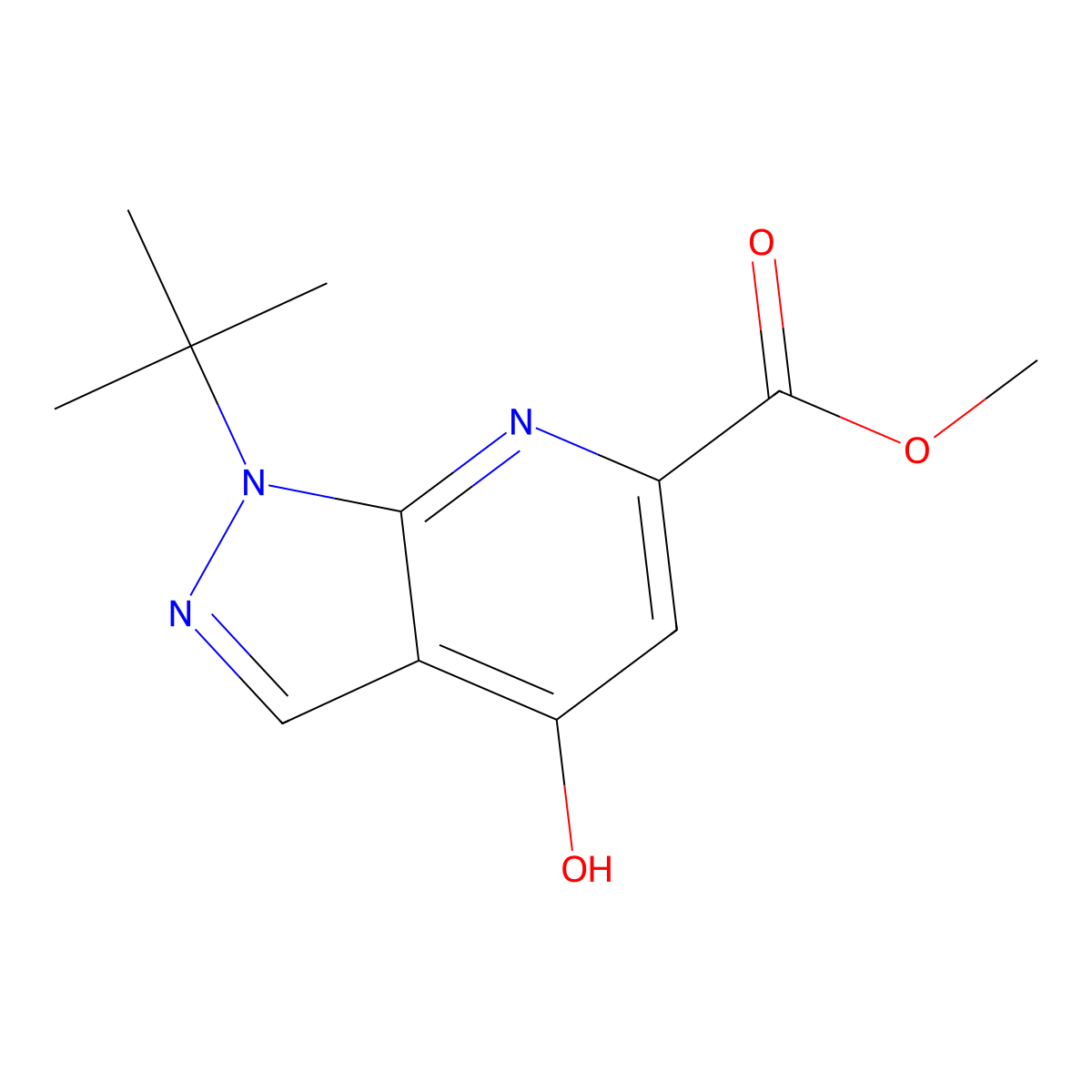 methyl 1-(tert-butyl)-4-hydroxy-1H-pyrazolo[3,4-b]pyridine-6-carboxylate molecular structure, CAS 3026715-59-0