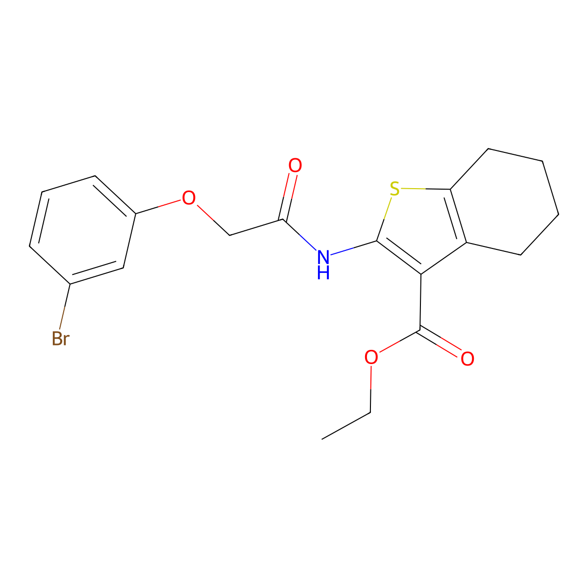Ethyl 2-{[(3-bromophenoxy)acetyl]amino}-4,5,6,7-tetrahydro-1-benzothiophene-3-carboxylate molecular structure, CAS 302805-59-0