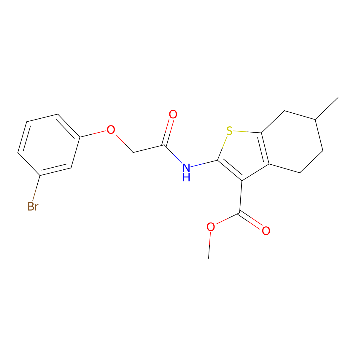 Methyl 2-{[(3-bromophenoxy)acetyl]amino}-6-methyl-4,5,6,7-tetrahydro-1-benzothiophene-3-carboxylate molecular structure, CAS 302805-60-3