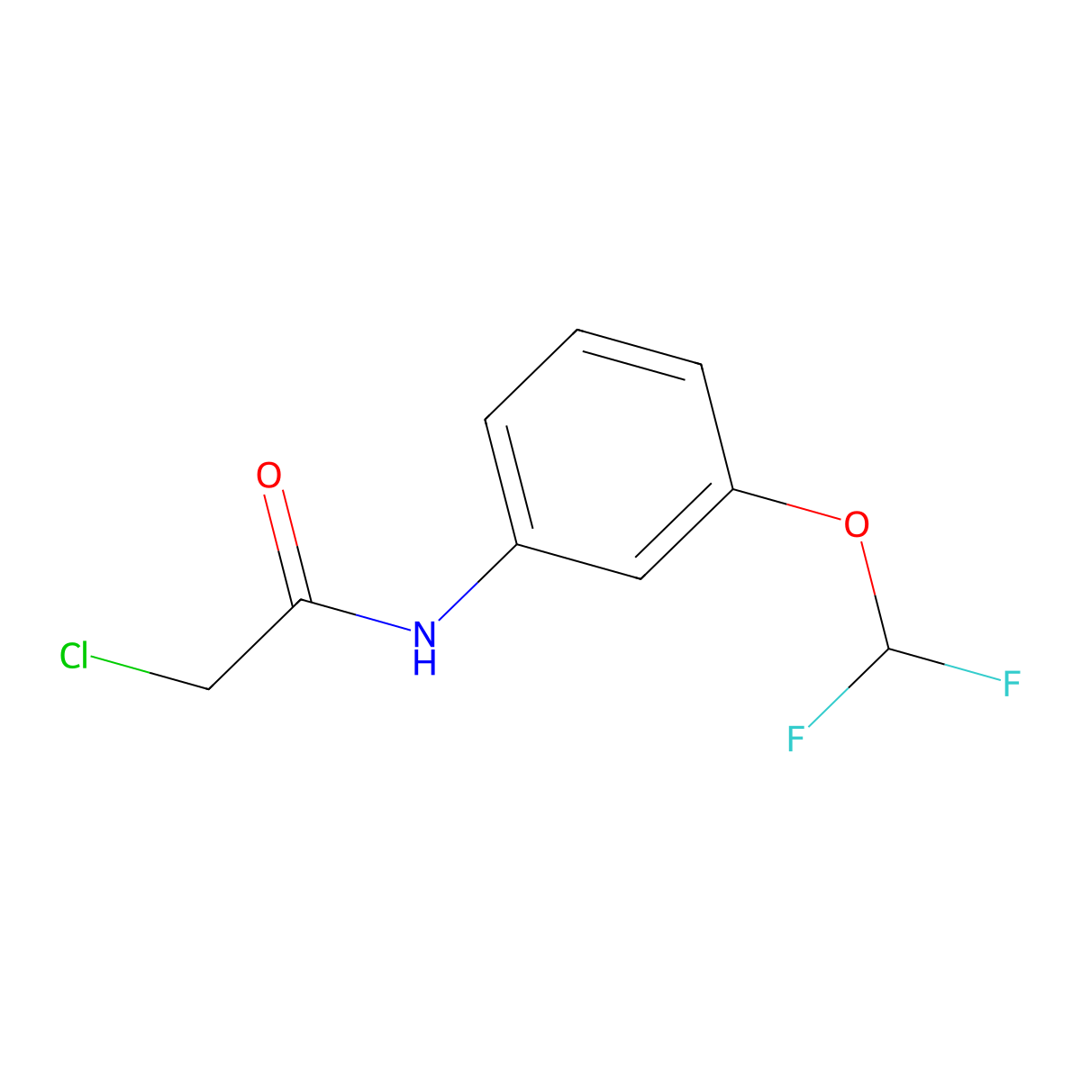 2-chloro-N-[3-(difluoromethoxy)phenyl]acetamide molecular structure, CAS 302936-08-9