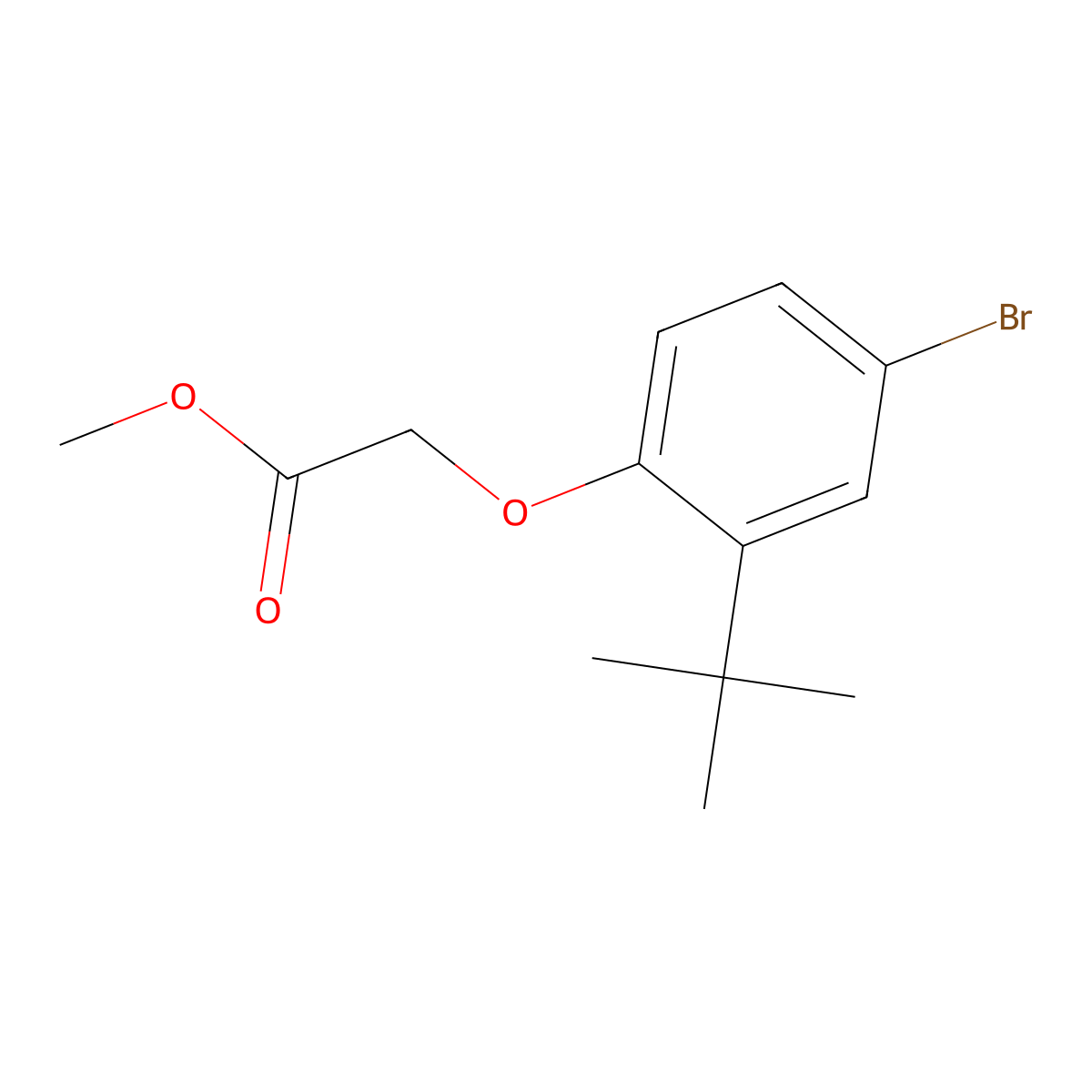 Methyl (4-bromo-2-tert-butylphenoxy)acetate molecular structure, CAS 302949-28-6