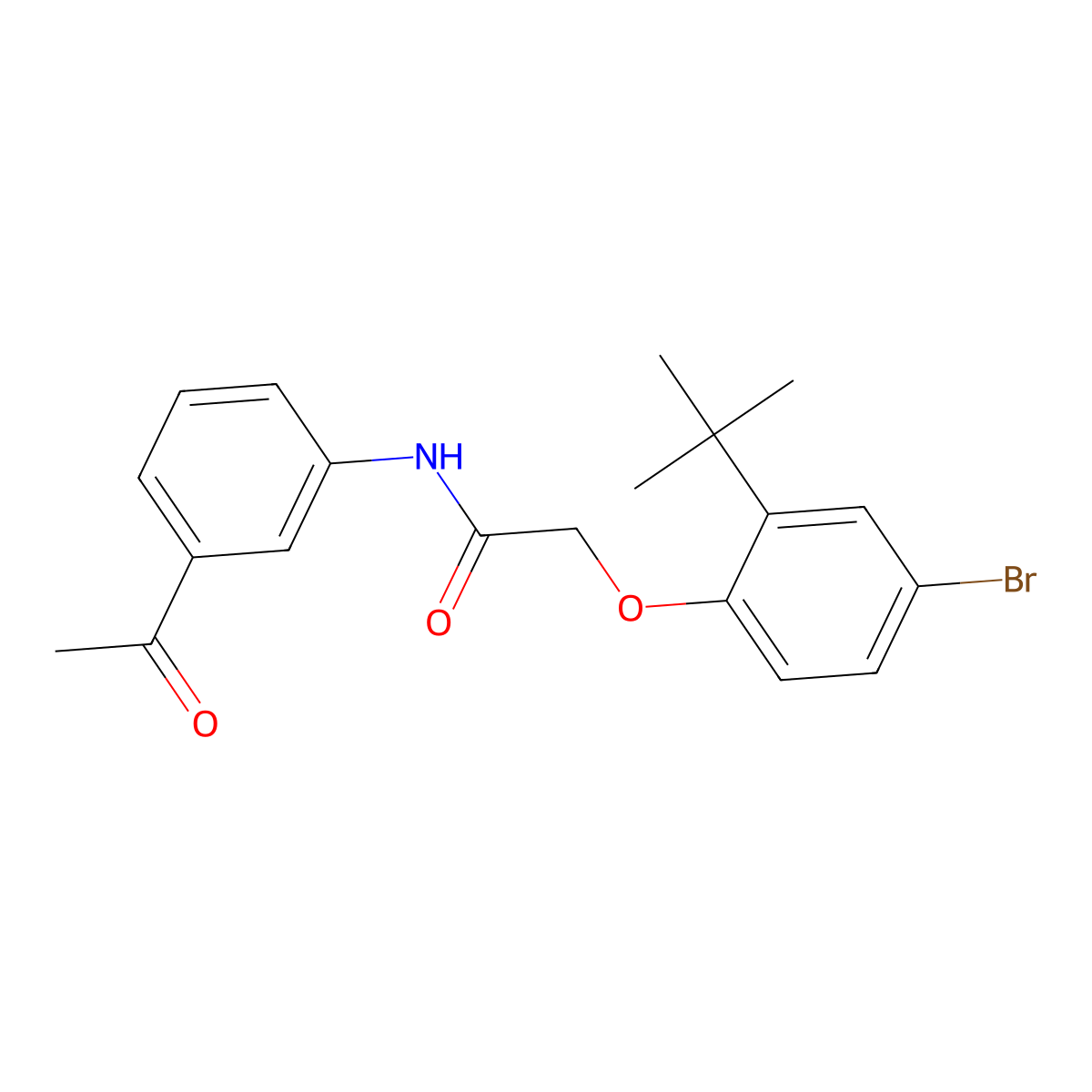 N-(3-acetylphenyl)-2-(4-bromo-2-tert-butylphenoxy)acetamide molecular structure, CAS 302949-90-2