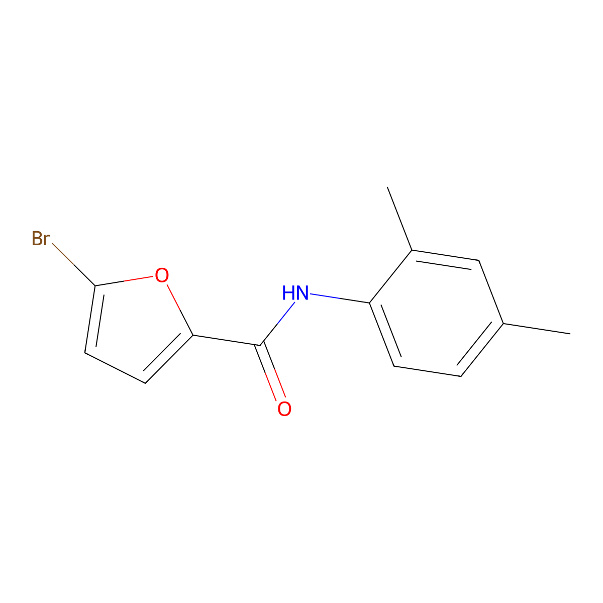 5-bromo-N-(2,4-dimethylphenyl)furan-2-carboxamide molecular structure, CAS 302968-02-1