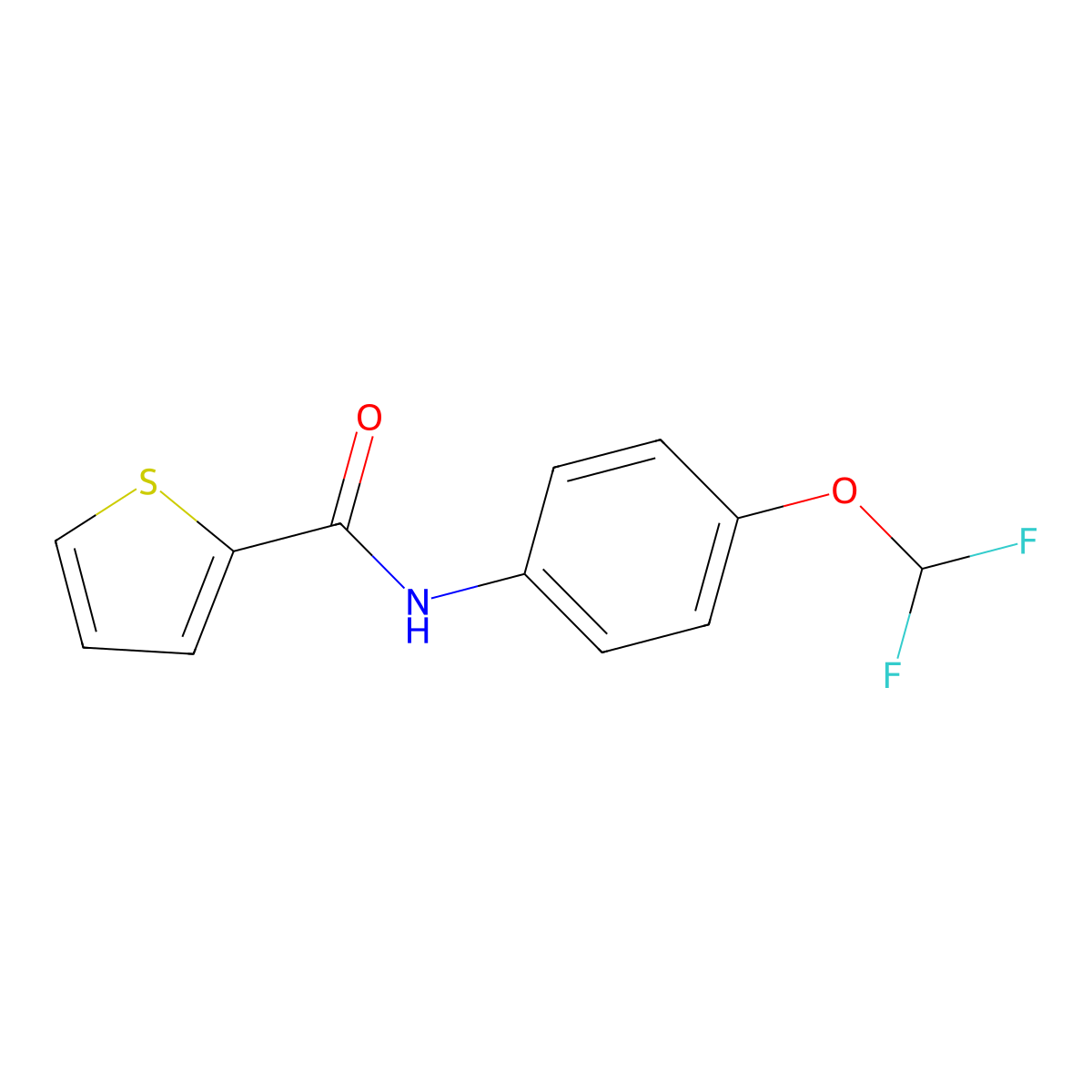 N-[4-(difluoromethoxy)phenyl]thiophene-2-carboxamide molecular structure, CAS 303033-76-3