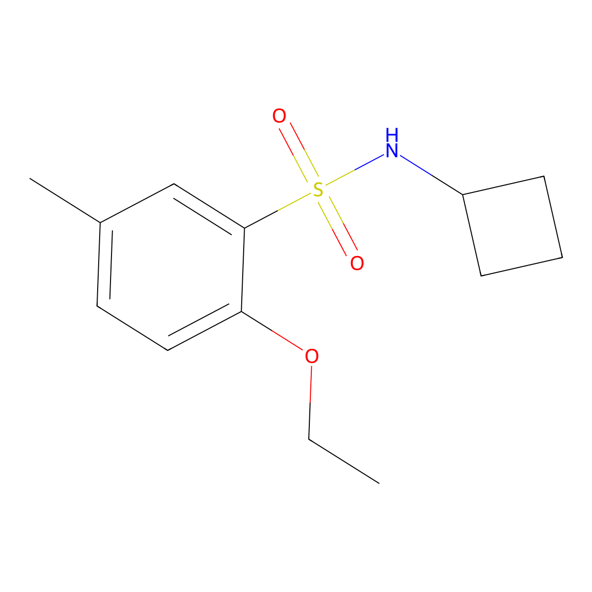 N-cyclobutyl-2-ethoxy-5-methylbenzene-1-sulfonamide molecular structure, CAS 3030777-76-2
