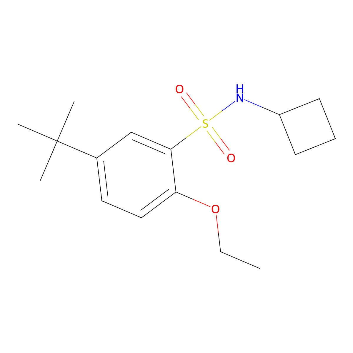 5-tert-butyl-N-cyclobutyl-2-ethoxybenzene-1-sulfonamide molecular structure, CAS 3030823-34-5