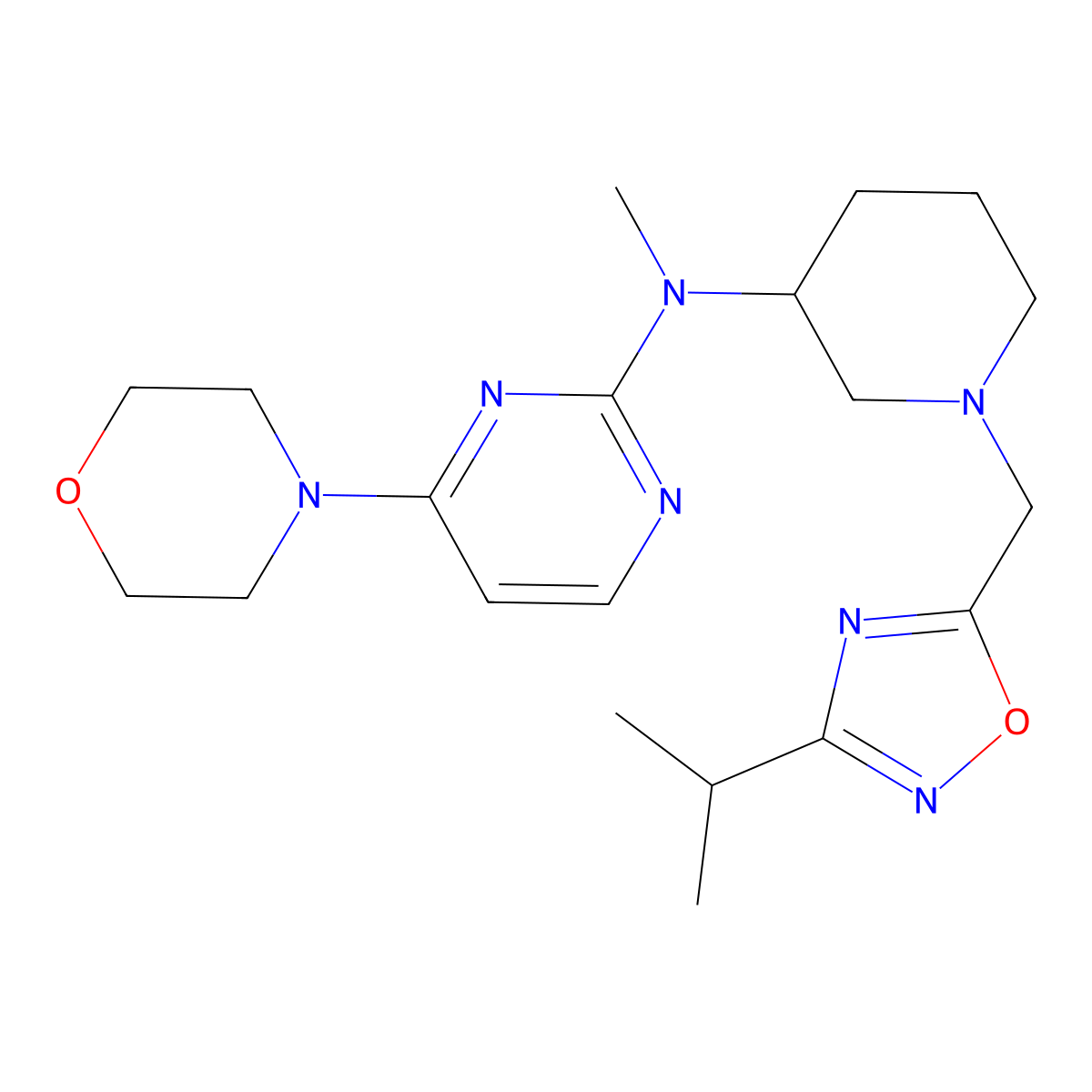 N-methyl-4-(morpholin-4-yl)-N-(1-{[3-(propan-2-yl)-1,2,4-oxadiazol-5-yl]methyl}piperidin-3-yl)pyrimidin-2-amine molecular structure, CAS 3030850-24-6