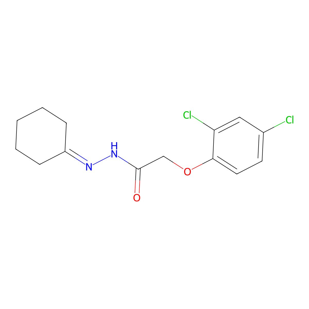 N'-cyclohexylidene-2-(2,4-dichlorophenoxy)acetohydrazide molecular structure, CAS 303087-40-3
