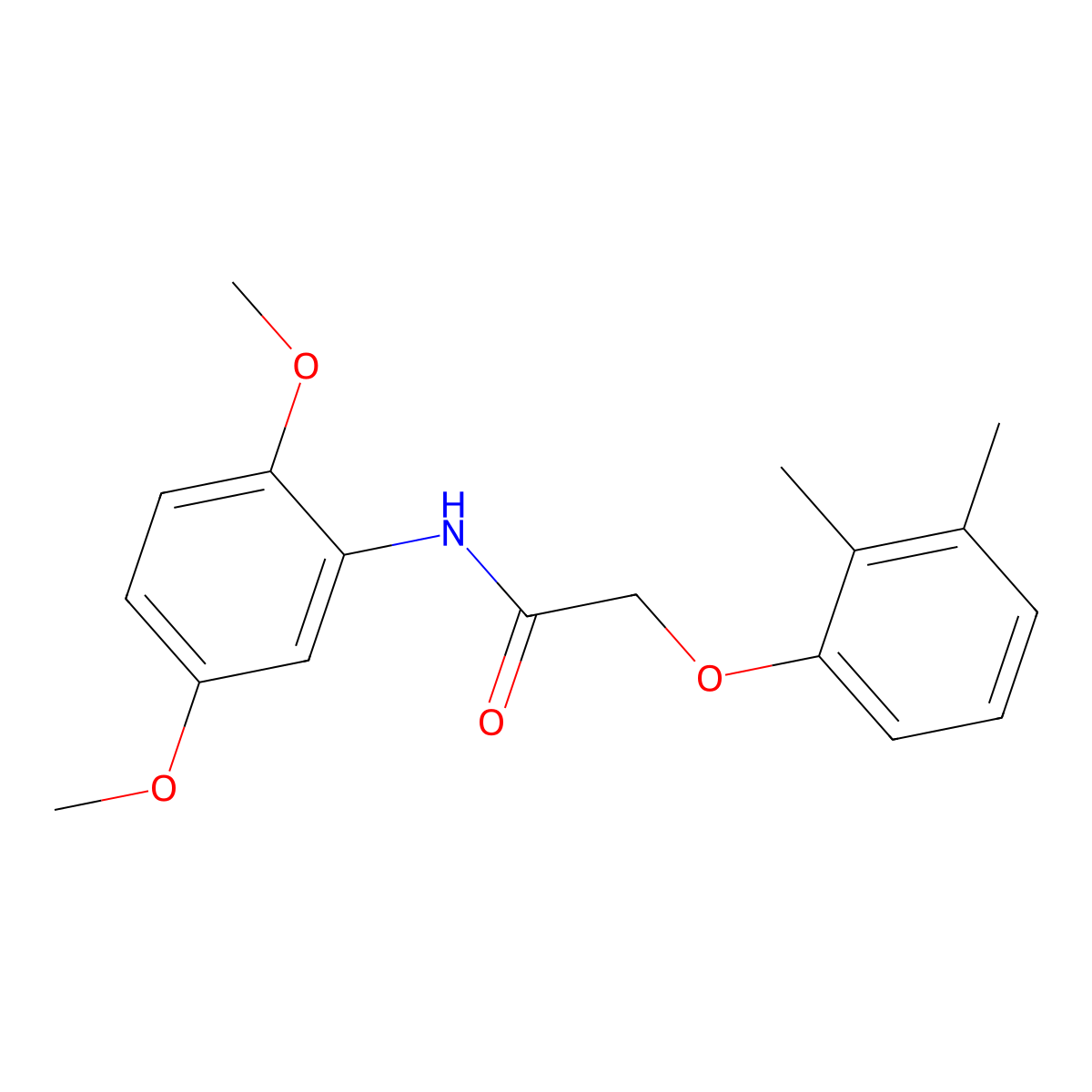 N-(2,5-dimethoxyphenyl)-2-(2,3-dimethylphenoxy)acetamide molecular structure, CAS 303116-66-7
