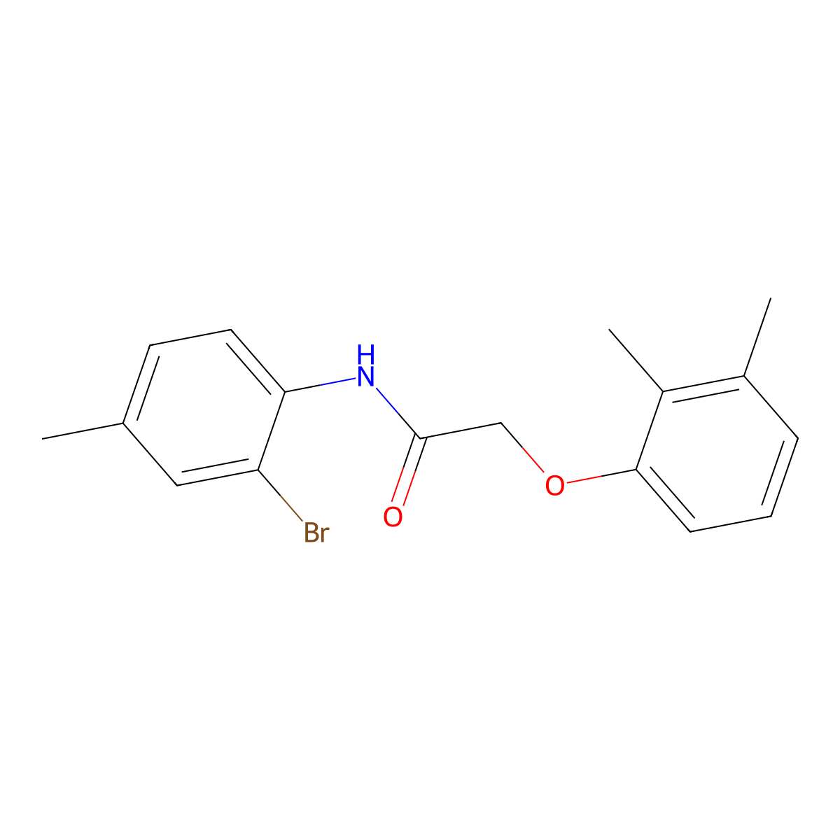N-(2-bromo-4-methylphenyl)-2-(2,3-dimethylphenoxy)acetamide molecular structure, CAS 303116-99-6