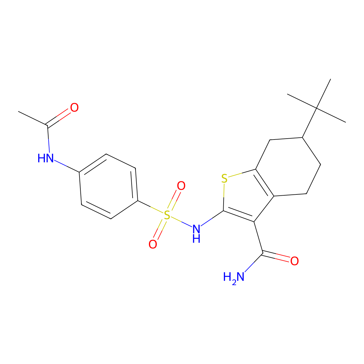 2-[(4-Acetamidophenyl)sulfonylamino]-6-tert-butyl-4,5,6,7-tetrahydro-1-benzothiophene-3-carboxamide molecular structure, CAS 303134-50-1