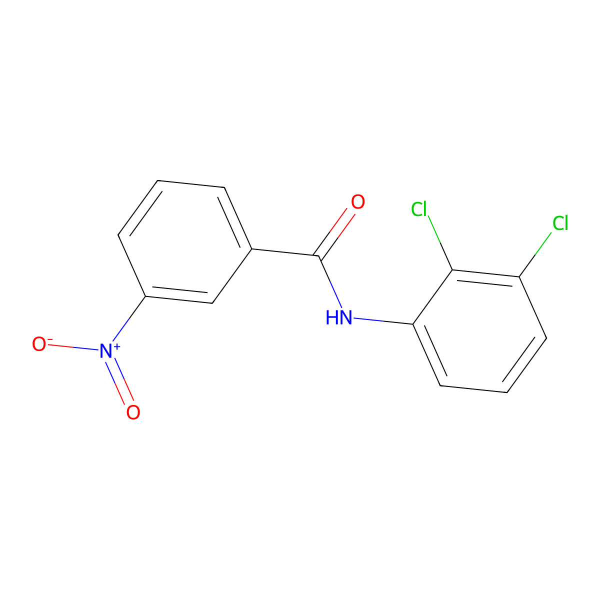 N-(2,3-dichlorophenyl)-3-nitrobenzamide molecular structure, CAS 303194-90-3